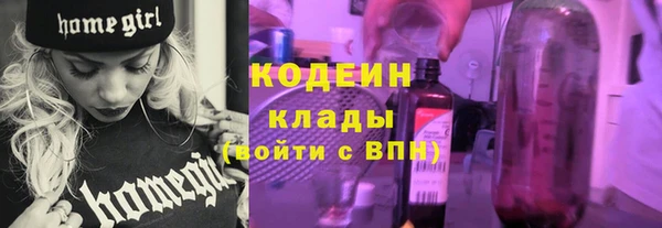 прущий лед Заводоуковск
