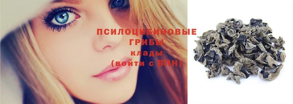 прущий лед Заводоуковск