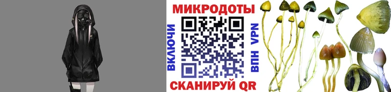 Галлюциногенные грибы GOLDEN TEACHER  Зея 