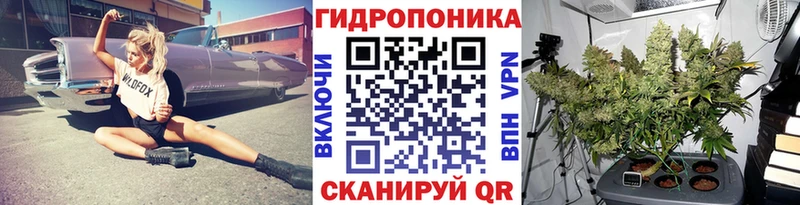 ссылка на мегу зеркало  Зея  мориарти какой сайт  Каннабис сатива 